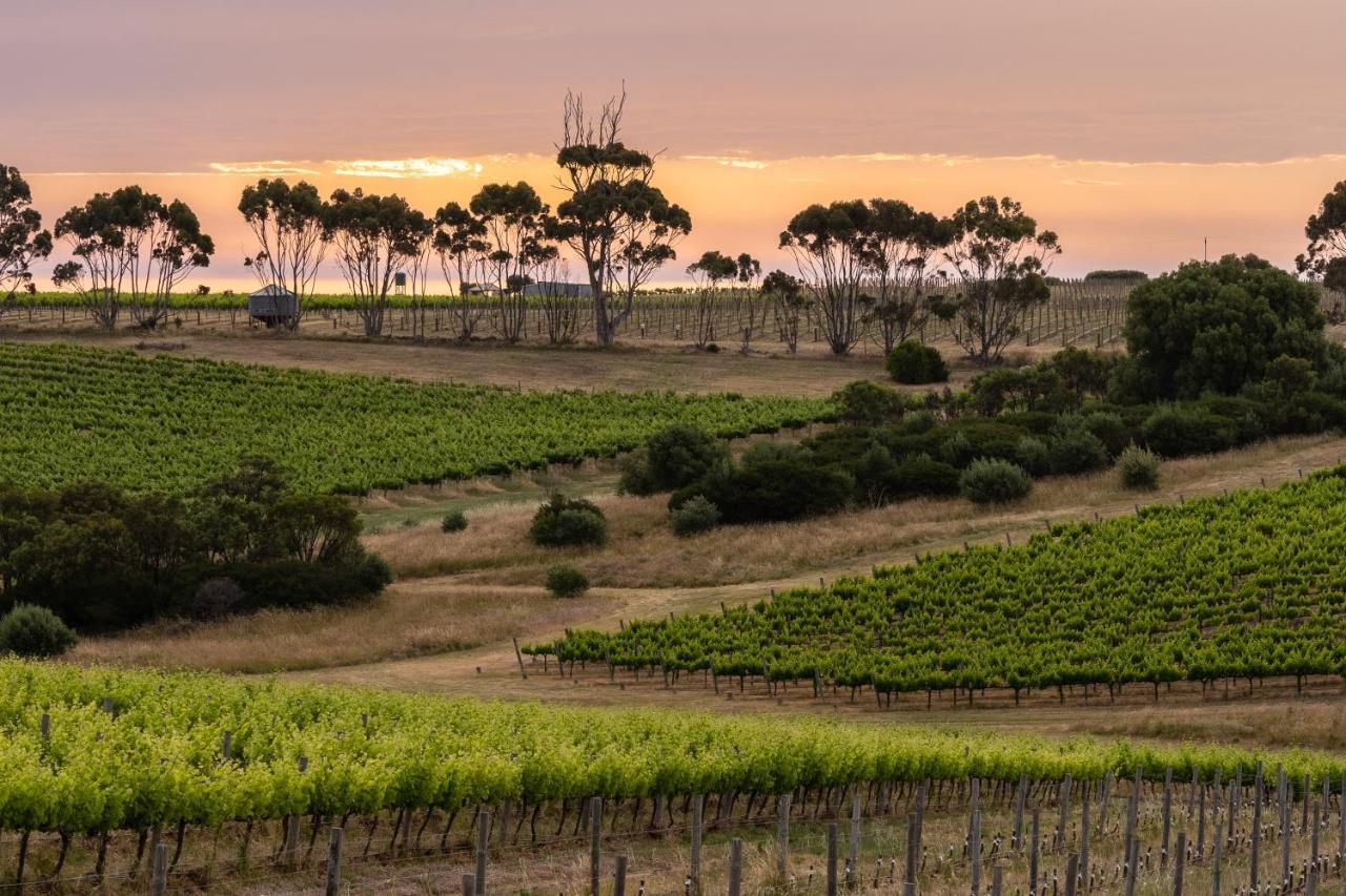 Hotel California Road At Inkwell Wines Mclaren Vale Extérieur photo