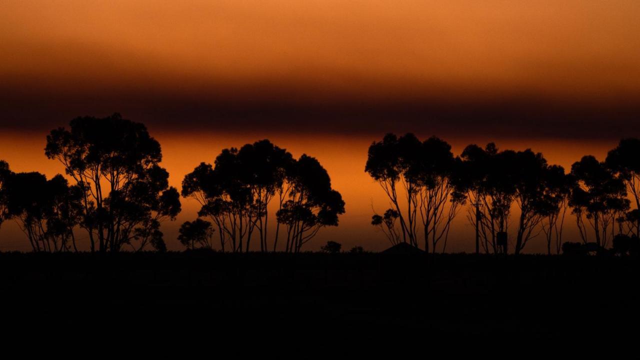 Hotel California Road At Inkwell Wines Mclaren Vale Extérieur photo