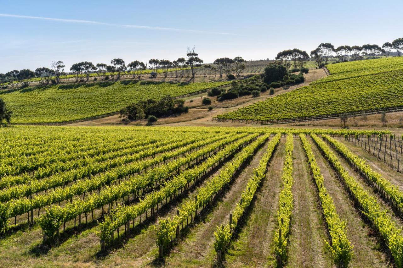 Hotel California Road At Inkwell Wines Mclaren Vale Extérieur photo